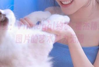 震撼视觉：Vinnegal约尔·福杰精致写真图片的艺术魅力无限