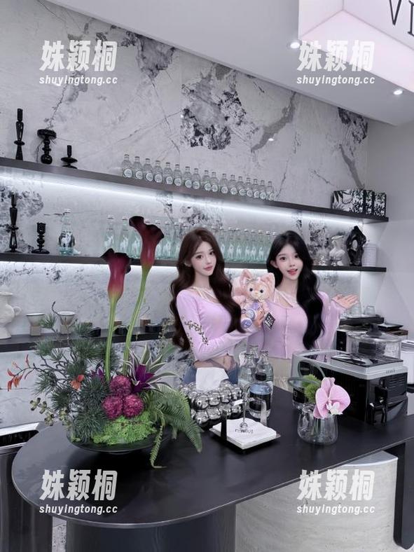 ZinieQ 精选合集:ZinieQ与塞尔达公主的奇妙邂逅,捕捉那些美丽瞬间的精致写真