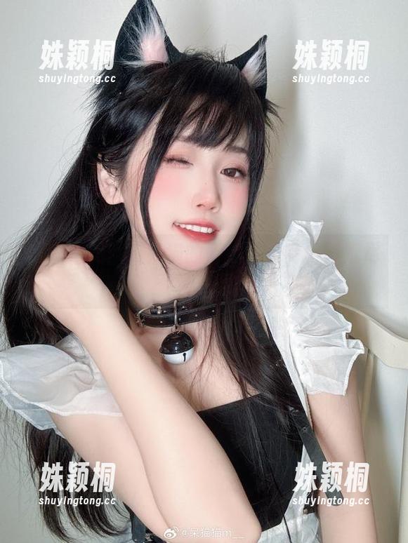 亚洲之美：不呆猫的西域风情高清壁纸尽情下载