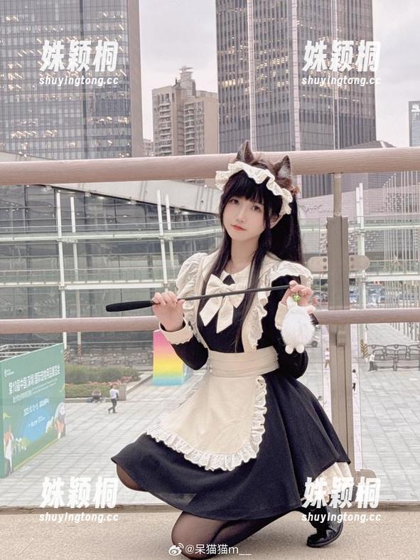 不呆猫 不呆猫的居家猫猫女友写真,原图简直让人心醉神迷!