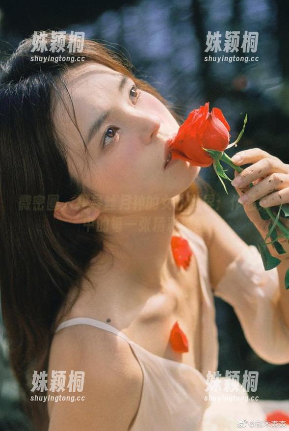 丝月神 微密圈 - 探寻丝月神的女仆世界:作品集中的每一张精彩原图