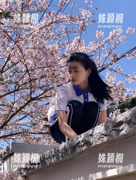 优星馆-可爱的小叶子 优星馆 - 可爱的小叶子户外摄影新作在线分享,图片展示自然与美的完美结合,别错过哦!