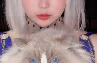 解析椒妮佐仁女仆套图资源中隐藏的无限魅力与创意！