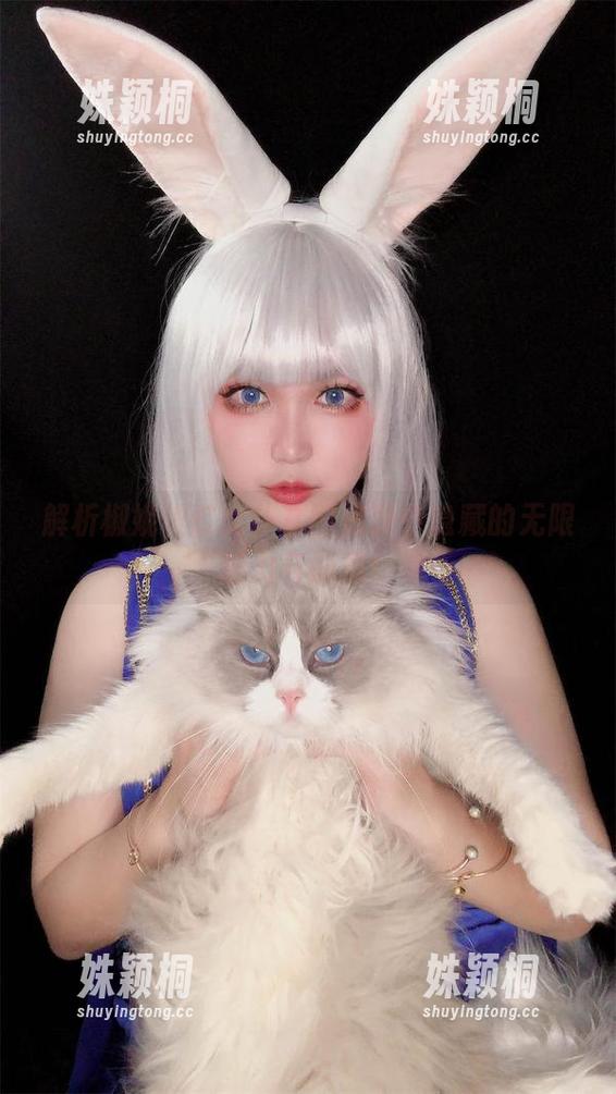 椒妮佐仁 解析椒妮佐仁女仆套图资源中隐藏的无限魅力与创意!