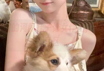 不可思议的河豚抚子修女作品，尽在下载专区