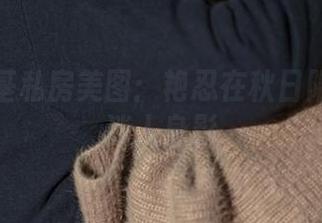 秋和柯基私房美图：艳忍在秋日阳光下的迷人身影